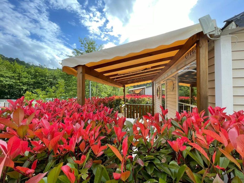 Campingplatz Camping Igara De